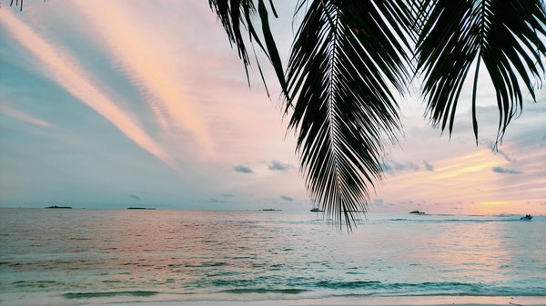 Repousser les limites de l'aventure avec une croisière tout inclus en Antarctique